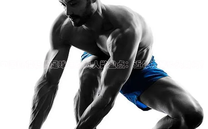 熊猫体育直播免费观看遥望科技中国现役职业足球运动员人数盘点：近年发展势头如何？