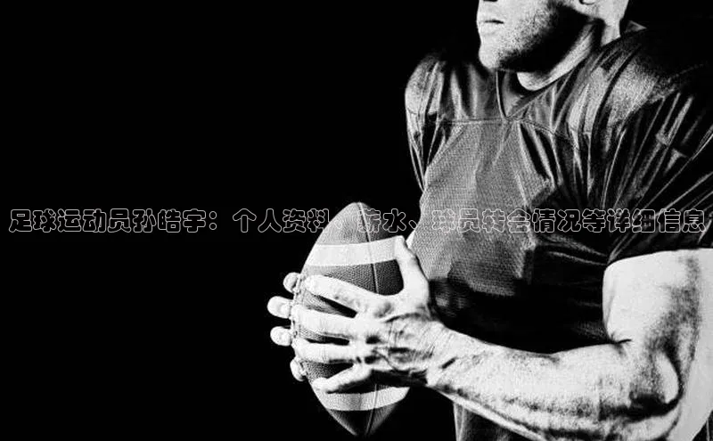 熊猫体育58同城足球运动员孙皓宇：个人资料、薪水、球员转会情况等详细信息