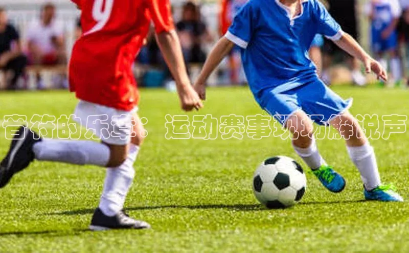 熊猫体育appARGA公司音符的乐章：运动赛事现场解说声