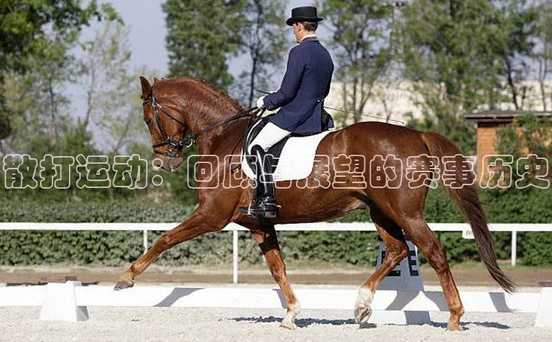 熊猫体育手机版下载