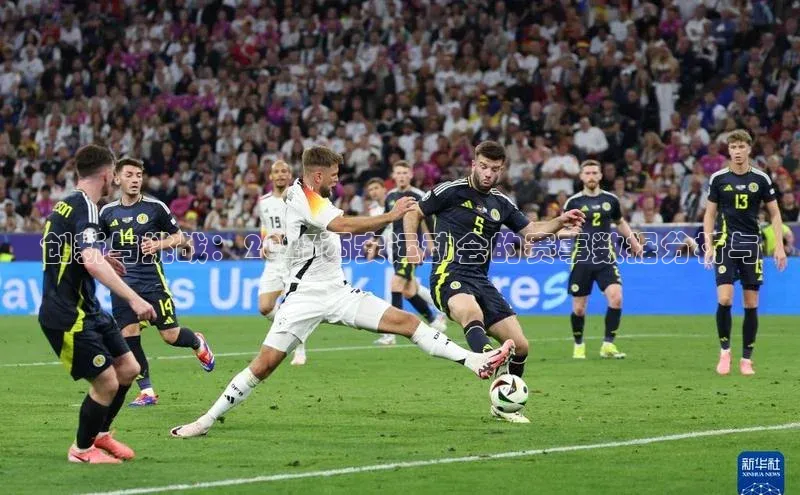 创新与挑战：2023西安运动会的赛事数据分析与