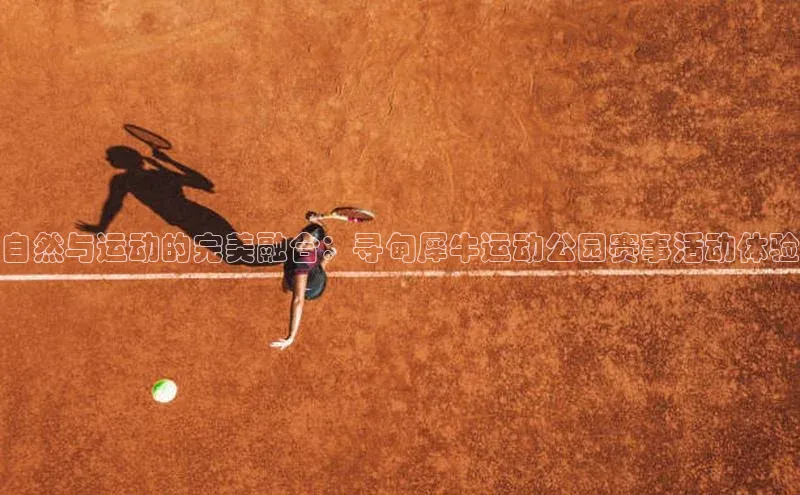 自然与运动的完美融合：寻甸犀牛运动公园赛事活动体验