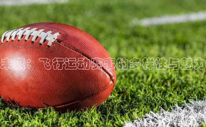 未来：飞行运动赛事的多样性与魅力