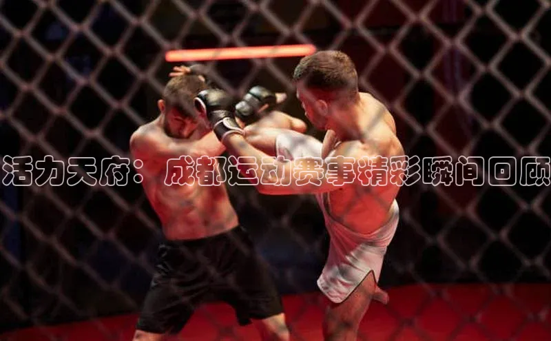 活力天府：成都运动赛事精彩瞬间回顾