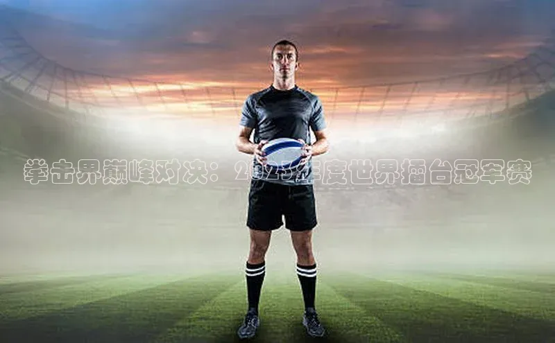 拳击界巅峰对决：2023年度世界擂台冠军赛