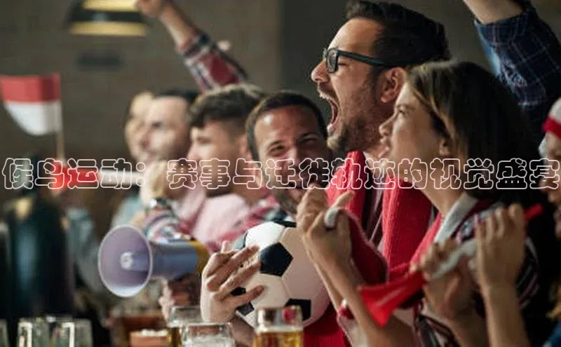 候鸟运动：赛事与迁徙轨迹的视觉盛宴