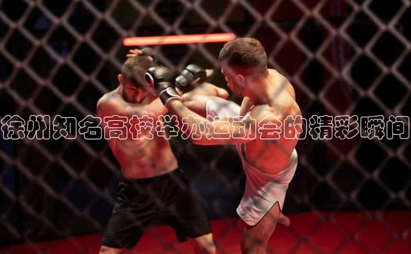 徐州知名高校举办运动会的精彩瞬间