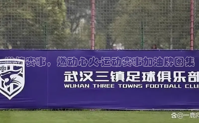 激情赛事，燃动心火-运动赛事加油牌图集