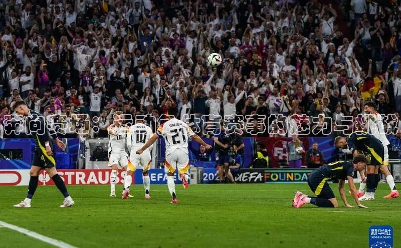 奔向赛场：运动兔体育赛事的魅力与挑战