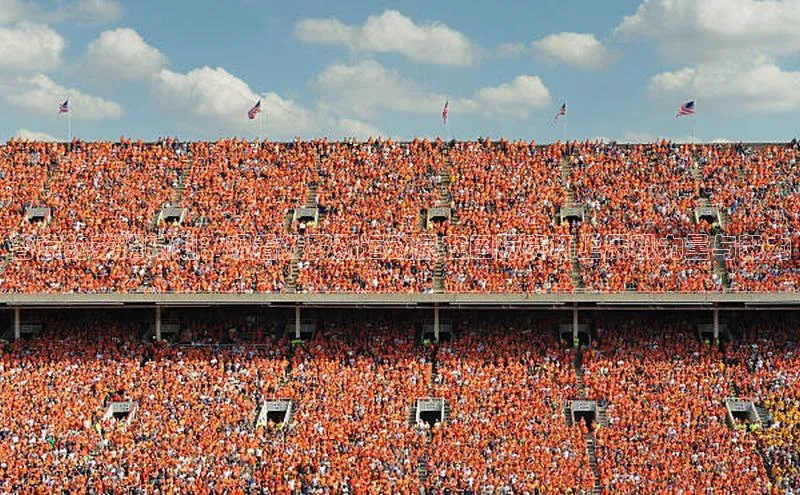 普京的荣耀时刻：观看俄罗斯运动员在国际赛场上展现力量与毅力
