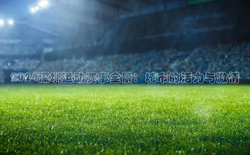 2024深圳运动赛事全景：城市的活力与激情