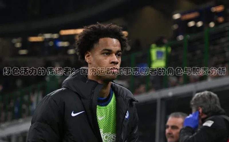 绿色活力的传递者：国内运动赛事志愿者的角色与职责分析