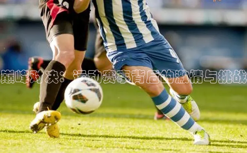 巅峰对决：运动赛事背后的激情与挑战