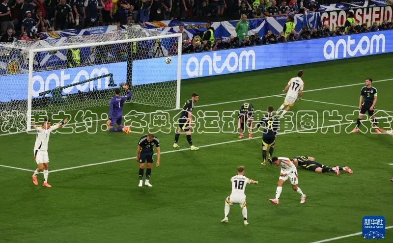 冰雪之约：冬奥会运动赛事图片大全