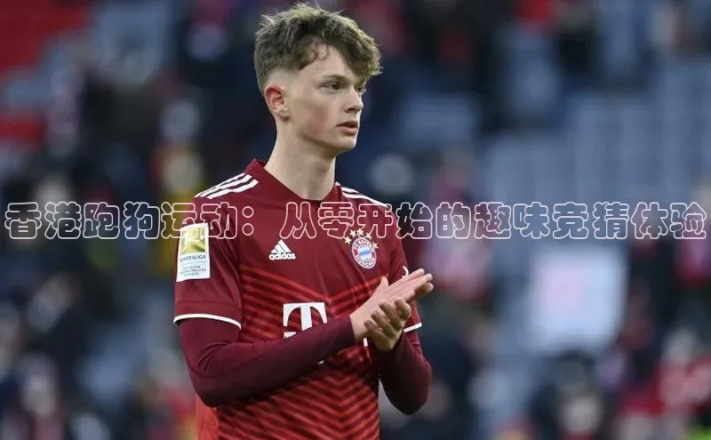 香港跑狗运动：从零开始的趣味竞猜体验