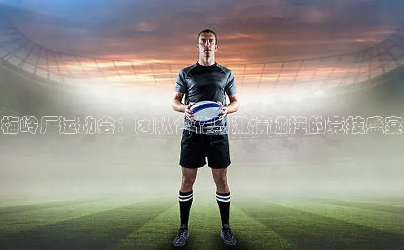 梅岭厂运动会：团队合作与激情碰撞的竞技盛宴