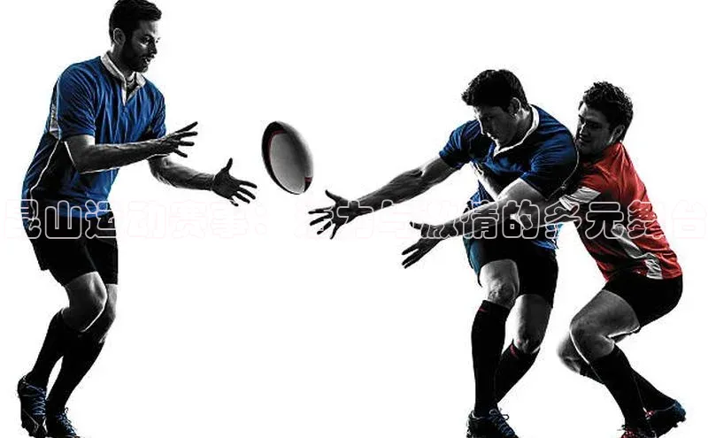 昆山运动赛事：活力与激情的多元舞台