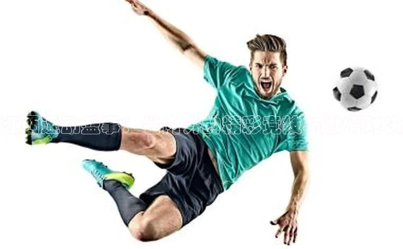 熊猫体育官网首页入口